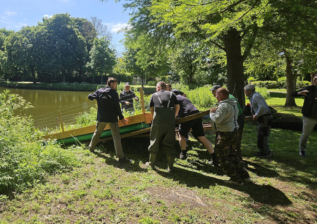 Nordenham – Biologische Aufwertung der Gate-Teiche: Schwimmende Röhrichtinseln installiert